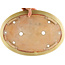 Maceta ovalada para bonsái de color blanco roto de Hattori - 440 x 320 x 70 mm