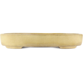 Hattori Tomoyuki Maceta para bonsái ovalada de color blanco roto de 500 mm de Hattori, Tokoname, Japón  Hattori Tomoyuki Maceta para bonsái ovalada de color blanco roto de 500 mm de Hattori, Tokoname, Japón