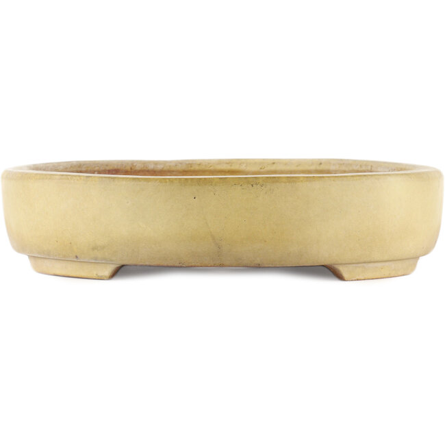 Oval off-white bonsai pot by Hattori - 500 x 370 x 80 mm