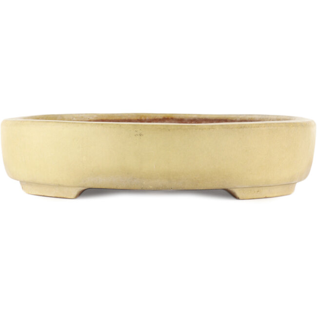 Vaso bonsai ovale bianco sporco di Hattori - 500 x 370 x 80 mm