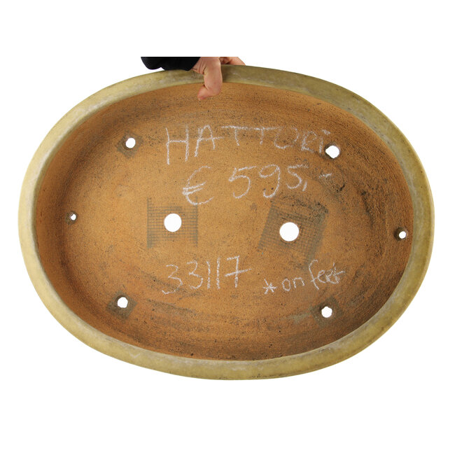 Vaso bonsai ovale bianco sporco di Hattori - 500 x 370 x 80 mm