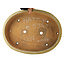 Pot à bonsaï ovale blanc cassé de Hattori - 500 x 370 x 80 mm