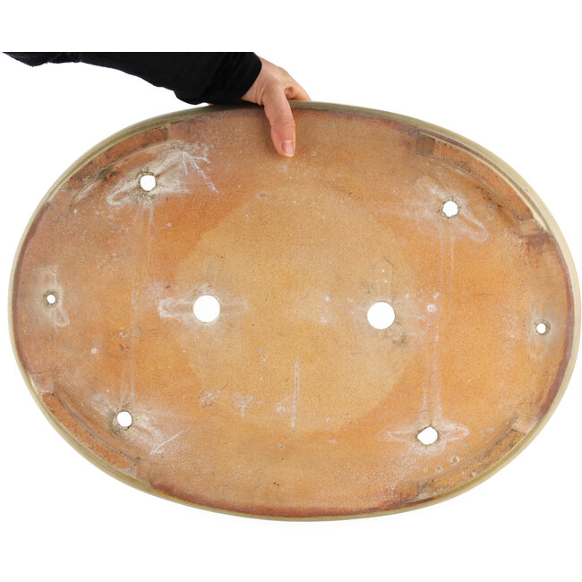 Maceta ovalada para bonsái de color blanco roto de Hattori - 500 x 370 x 80 mm