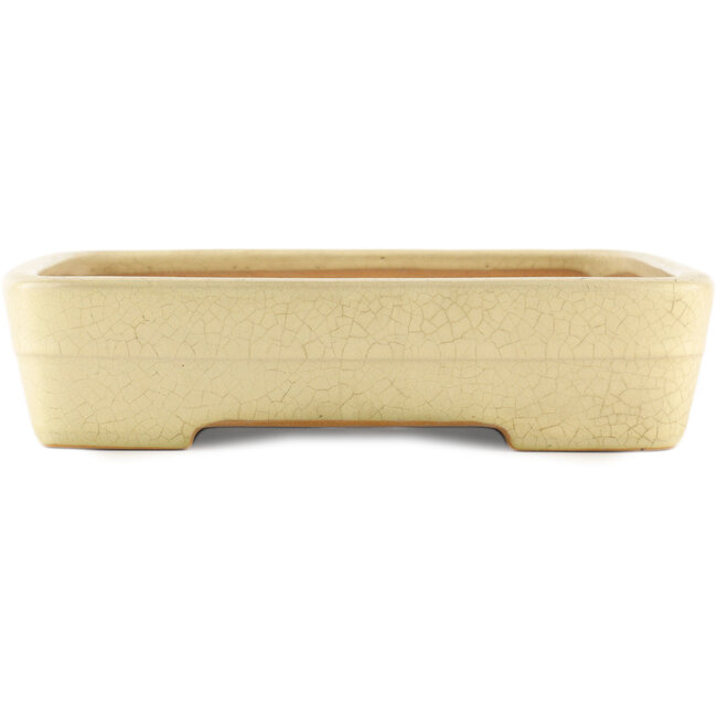 Vaso bonsai rettangolare bianco sporco di Yamafusa - 420 x 320 x 70 mm