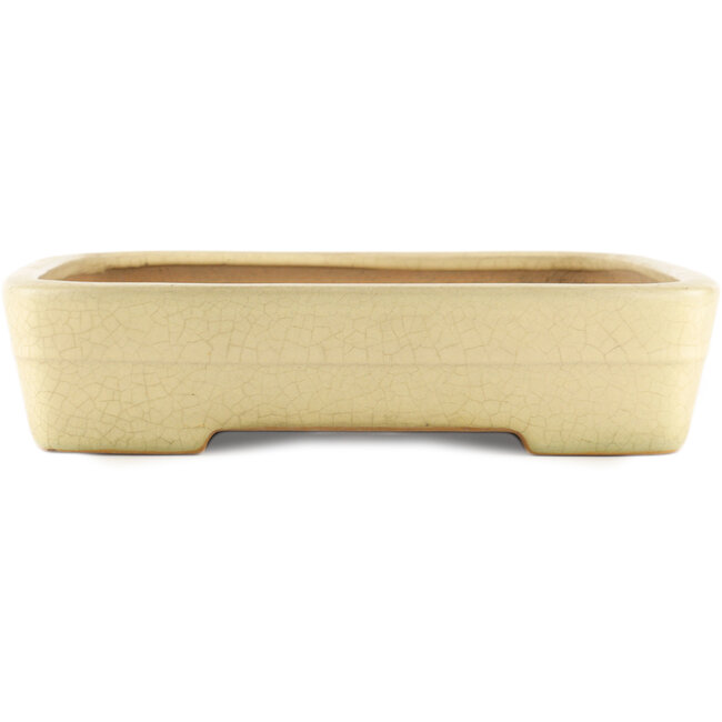 Vaso bonsai rettangolare bianco sporco di Yamafusa - 420 x 320 x 70 mm