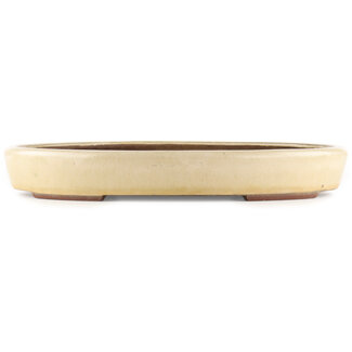  Yamaaki Pot à bonsaï ovale blanc cassé de 450 mm par Yamaaki, Tokoname, Japon