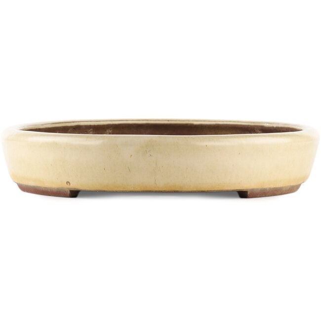 Maceta ovalada para bonsái de color blanco roto de Yamaaki - 450 x 340 x 65 mm