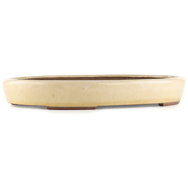 Oval off-white bonsai pot by Yamaaki - 450 x 340 x 65 mm