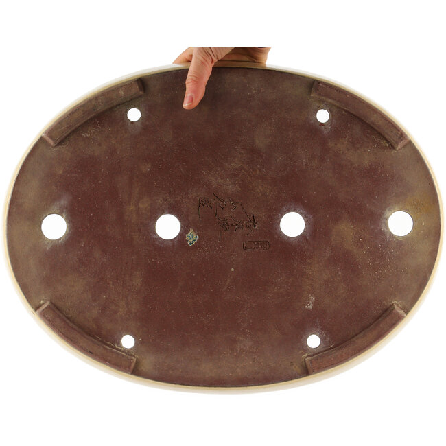 Maceta ovalada para bonsái de color blanco roto de Yamaaki - 450 x 340 x 65 mm