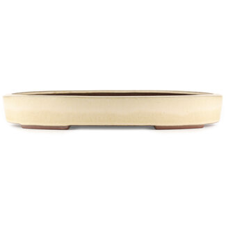  Yamaaki Pot à bonsaï ovale blanc cassé de 400 mm par Yamaaki, Tokoname, Japon