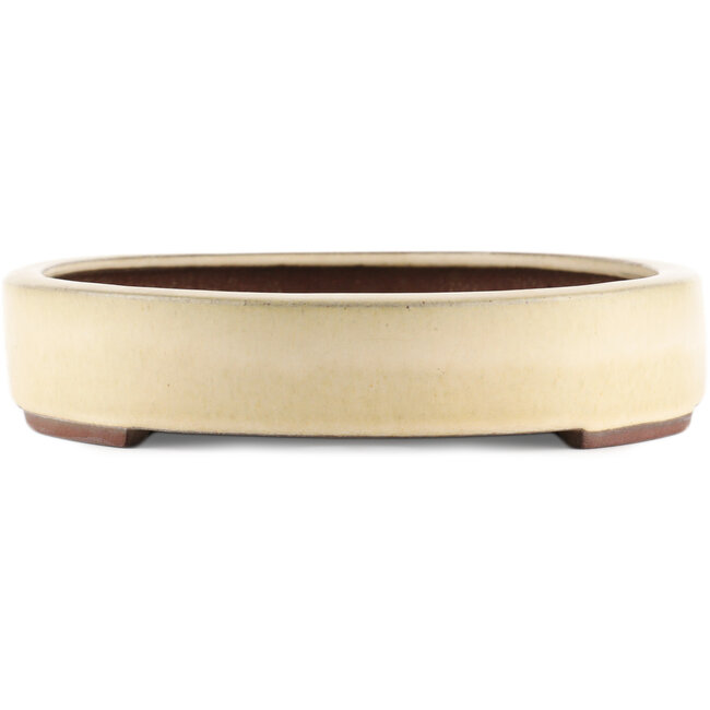 Pot à bonsaï ovale blanc cassé de Yamaaki - 400 x 275 x 55 mm