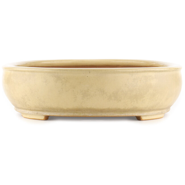 Oval off-white bonsai pot by Reiho - 440 x 360 x 100 mm