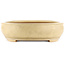 Pot à bonsaï ovale blanc cassé de Reiho - 440 x 360 x 100 mm