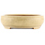 Pot à bonsaï ovale blanc cassé de Reiho - 440 x 360 x 100 mm