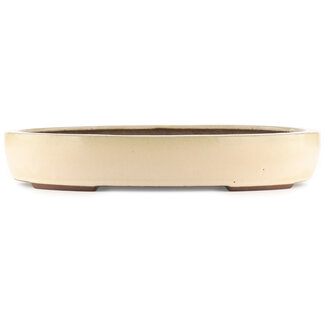  Yamaaki Pot à bonsaï ovale blanc cassé de 450 mm par Yamaaki, Tokoname, Japon