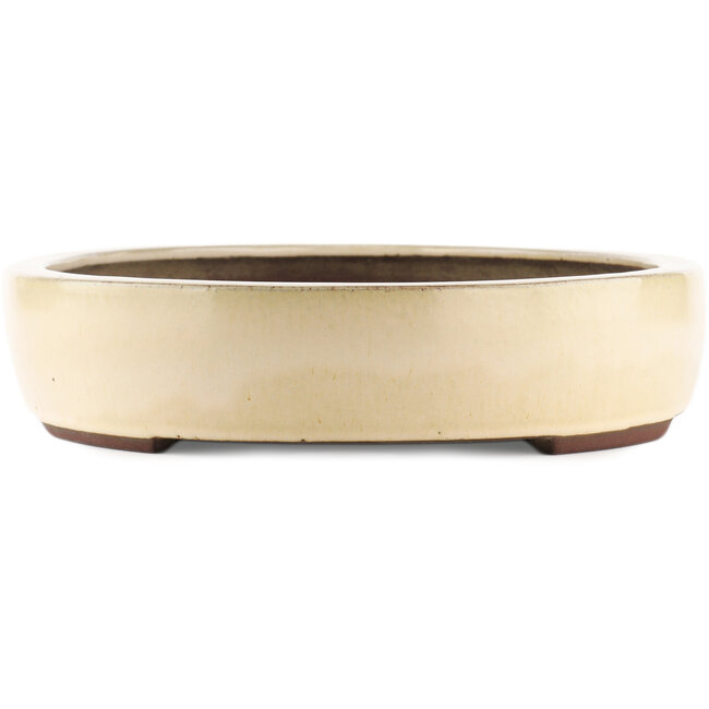 Pot à bonsaï ovale blanc cassé de Yamaaki - 450 x 335 x 75 mm