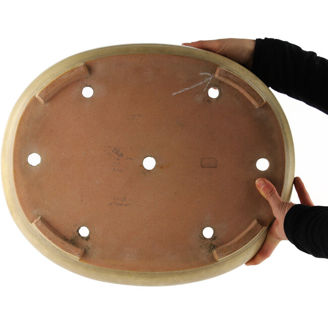 Pot à bonsaï ovale blanc cassé de Reiho - 440 x 360 x 100 mm