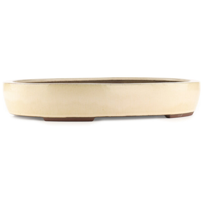 Maceta ovalada para bonsái de color blanco roto de Yamaaki - 450 x 335 x 75 mm