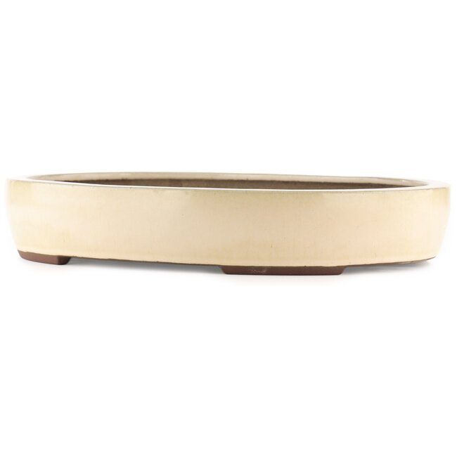 Pot à bonsaï ovale blanc cassé de Yamaaki - 450 x 335 x 75 mm