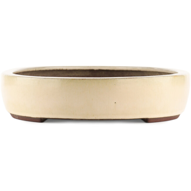 Oval off-white bonsai pot by Yamaaki - 450 x 335 x 75 mm