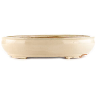 Hattori Tomoyuki 450 mm oval off-white bonsai pot by Hattori, Tokoname, Japan