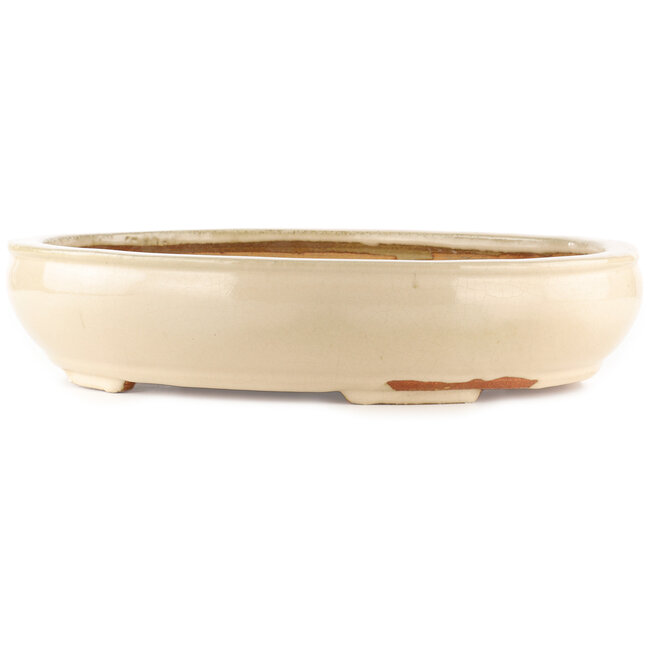 Vaso bonsai ovale bianco sporco di Hattori - 450 x 360 x 95 mm