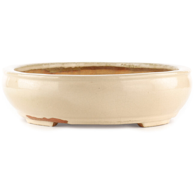 Oval off-white bonsai pot by Hattori - 450 x 360 x 95 mm