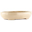 Pot à bonsaï ovale blanc cassé de Hattori - 450 x 360 x 95 mm
