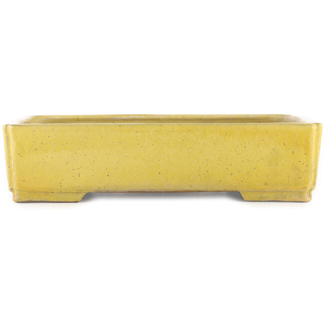 Pot à bonsaï rectangulaire jaune de Shuhou - 345 x 255 x 80 mm