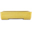 Pot à bonsaï rectangulaire jaune de Shuhou - 345 x 255 x 80 mm