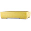 Pot à bonsaï rectangulaire jaune de Shuhou - 345 x 255 x 80 mm