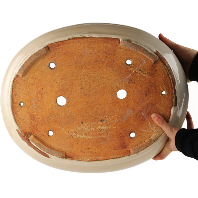 Pot à bonsaï ovale blanc cassé de Hattori - 450 x 360 x 95 mm