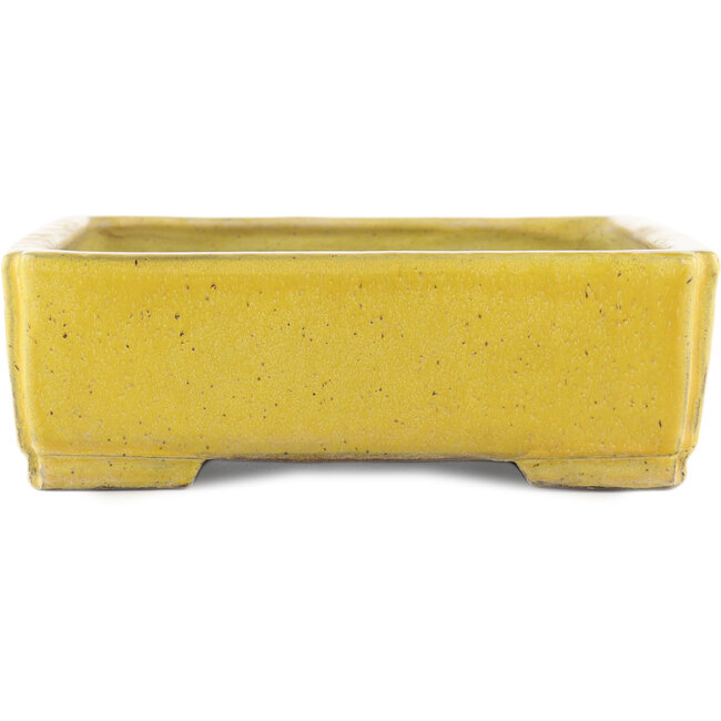 Pot à bonsaï rectangulaire jaune de Shuhou - 345 x 255 x 80 mm