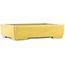 Pot à bonsaï rectangulaire jaune de Shuhou - 345 x 255 x 80 mm