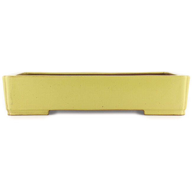 Pot à bonsaï rectangulaire jaune de Reiho - 480 x 335 x 100 mm