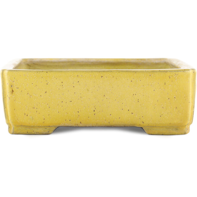 Maceta rectangular amarilla para bonsái de Shuhou - 345 x 255 x 80 mm