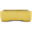 Pot à bonsaï rectangulaire jaune de Shuhou - 345 x 255 x 80 mm