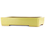 Pot à bonsaï rectangulaire jaune de Reiho - 480 x 335 x 100 mm