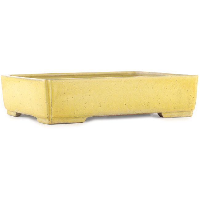 Maceta rectangular amarilla para bonsái de Shuhou - 345 x 255 x 80 mm