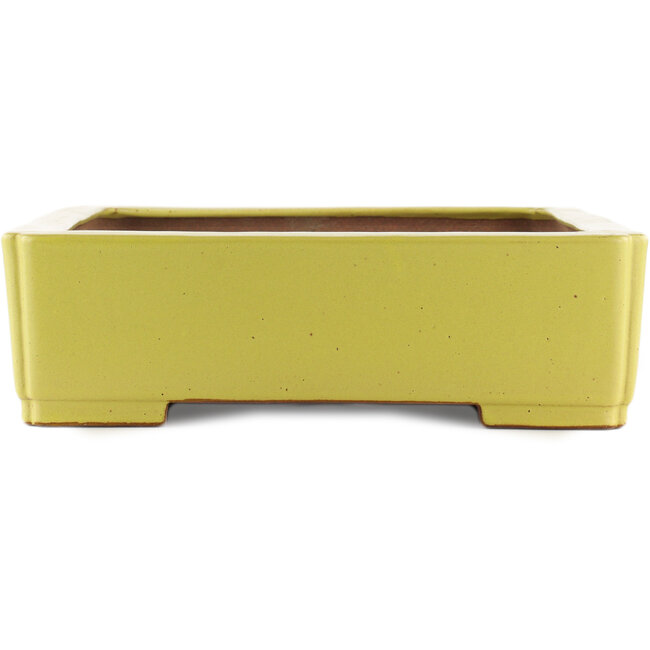 Vaso bonsai giallo rettangolare di Reiho - 480 x 335 x 100 mm