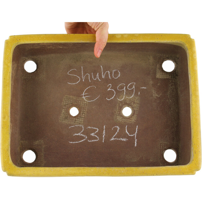 Pot à bonsaï rectangulaire jaune de Shuhou - 345 x 255 x 80 mm