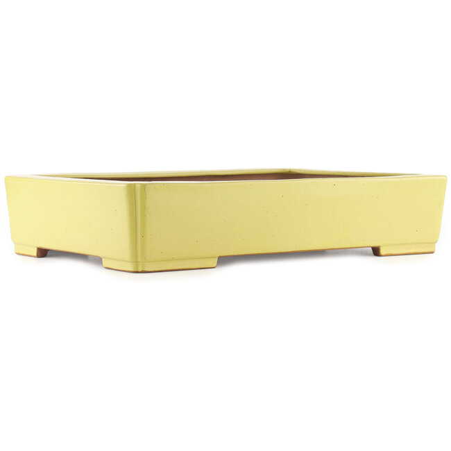 Vaso bonsai giallo rettangolare di Reiho - 480 x 335 x 100 mm
