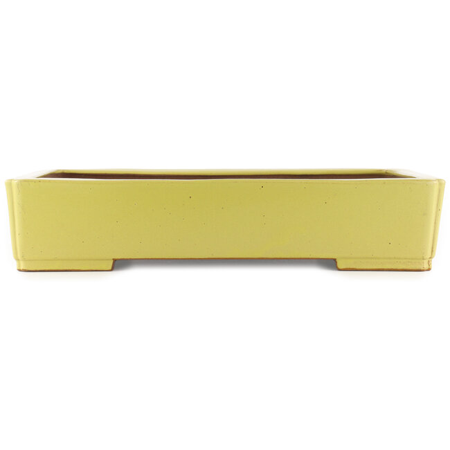 Maceta rectangular amarilla para bonsái de Reiho - 480 x 335 x 100 mm