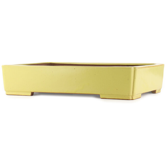 Vaso bonsai giallo rettangolare di Reiho - 480 x 335 x 100 mm