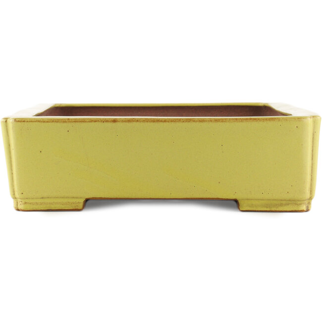 Pot à bonsaï rectangulaire jaune de Reiho - 480 x 335 x 100 mm