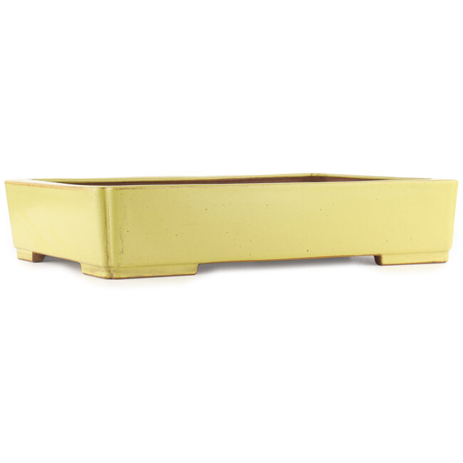Rectangular yellow bonsai pot by Reiho - 480 x 335 x 100 mm