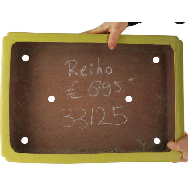 Rectangular yellow bonsai pot by Reiho - 480 x 335 x 100 mm