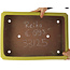 Pot à bonsaï rectangulaire jaune de Reiho - 480 x 335 x 100 mm