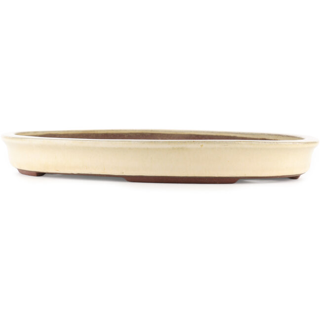 Maceta ovalada blanca para bonsái de Yamaaki - 420 x 310 x 45 mm