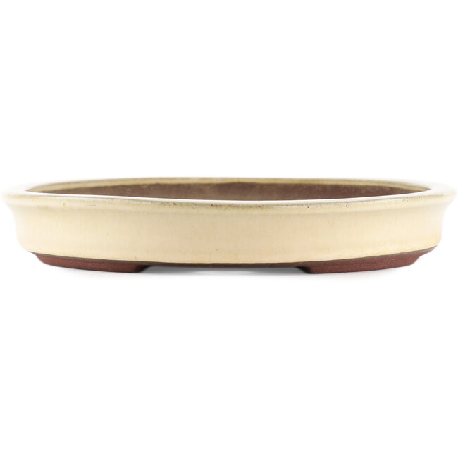 Pot à bonsaï ovale blanc de Yamaaki - 420 x 310 x 45 mm